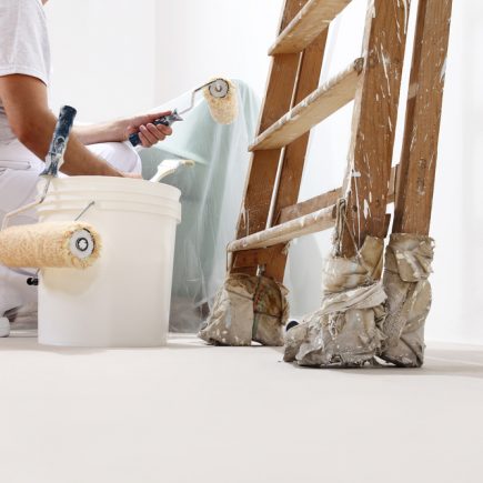 Painter,man,at,work,with,a,roller,,bucket,and,ladder,